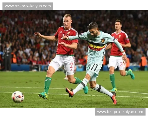 龙之魂与雪山之巅的较量：威尔士与奥地利的宿命对决